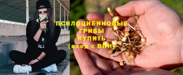 эйфоретик Верхний Тагил